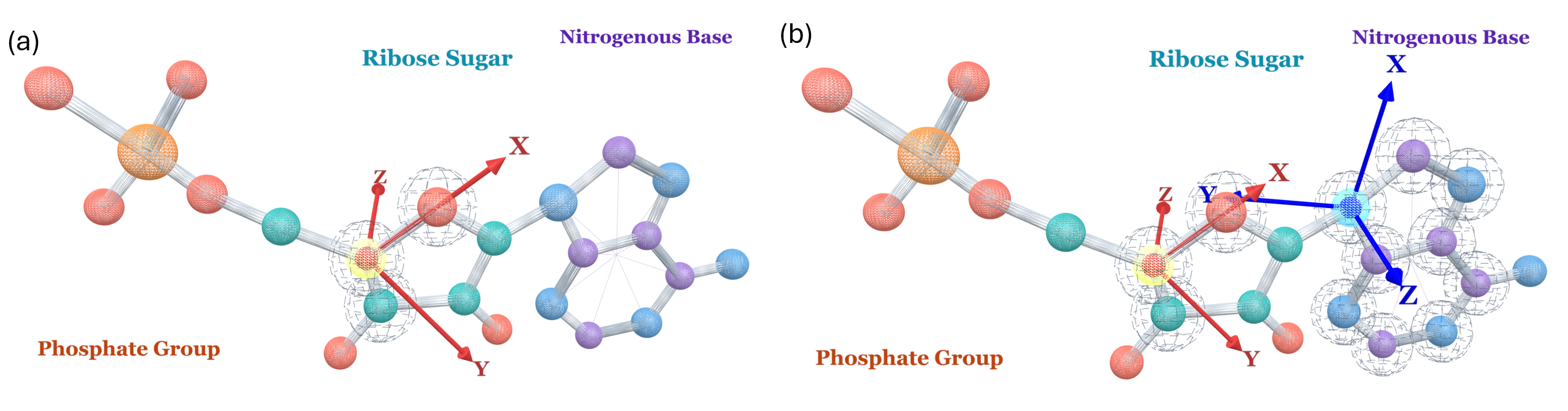 Dual-frame representation: Sugar-GS and Base-Plane frames on a nucleotide