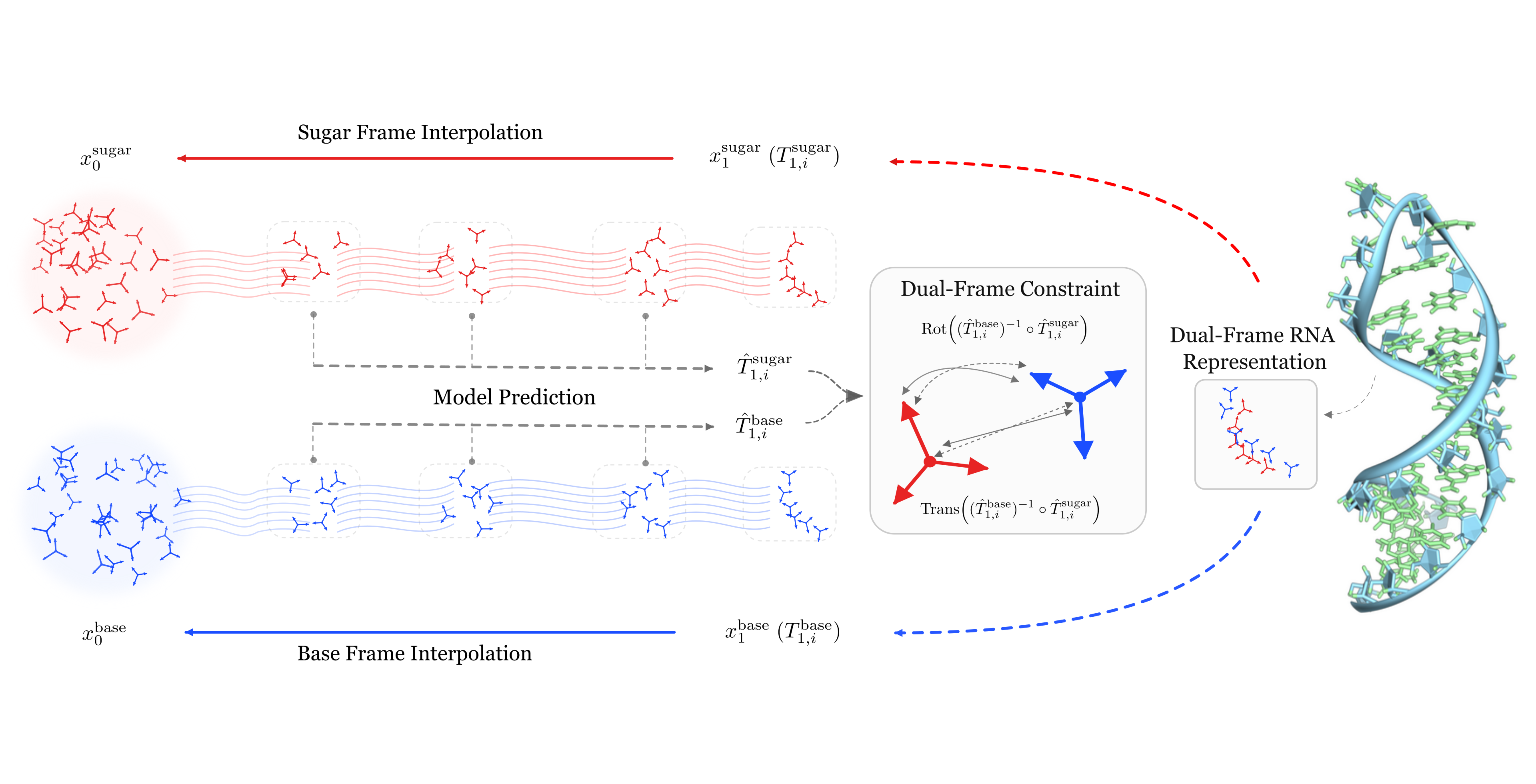 Preview for DuetRNA: Base-and-Sugar Dual-Frame Flow Matching for RNA Co-Design